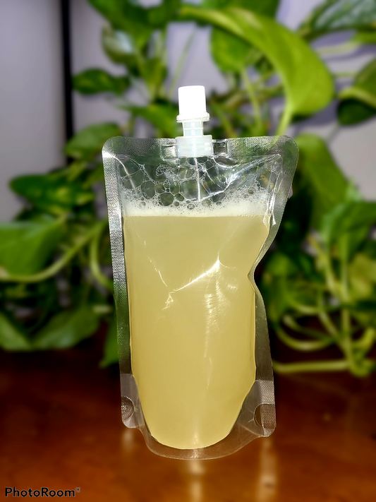 Natural Foam Soap Refill